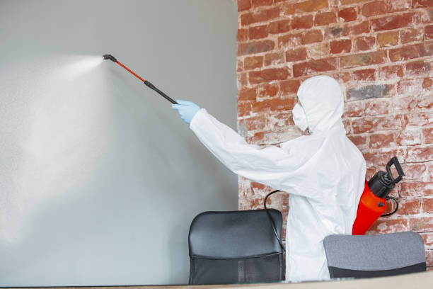 Best Real Estate Mold Inspection  in Brighton, MI