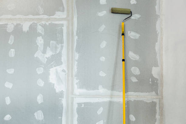 Trusted Brighton, MI Mold Removal Experts
