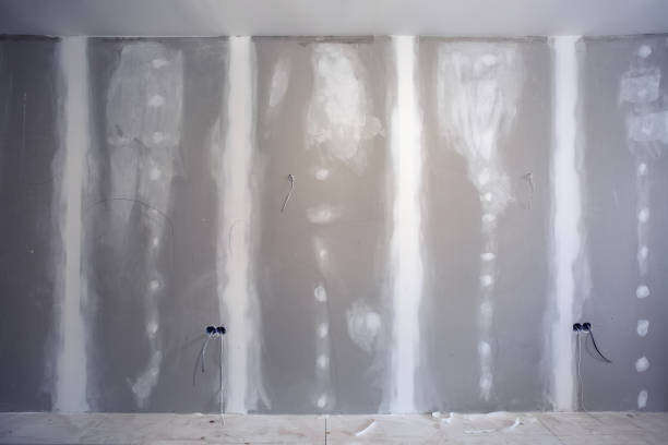 Best Water Damage & Mold Remediation  in Brighton, MI